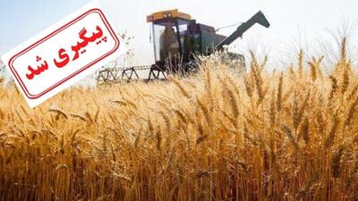 موضوع اصلاح قیمت خرید گندم به درخواست کشاورزان پیگیری شد