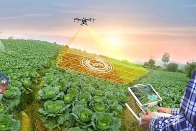 اجرای طرح کشاورزی هوشمند؛ هوش مصنوعی سطح زیر کشت ۷ محصول را تخمین می‌زند - زومیت