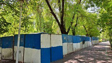 شورای شهر جلوی ساخت و ساز در پارک لاله را گرفت/ جزئیات تکمیلی