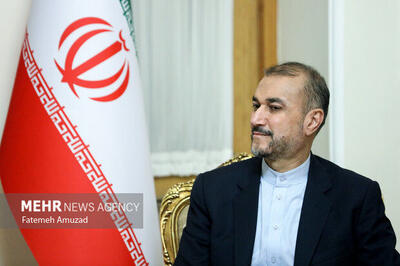 امیرعبداللهیان: ایران و مصر مصصم به برقراری روابط دیپلماتیک هستند