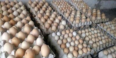 قیمت تخم مرغ در بازار روز | هر شانه تخم‌مرغ چند؟