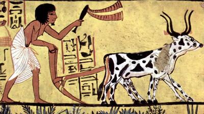 انسان‌ها قبل از عصر کشاورزی، در حدود 12 هزار سال پیش، چه می‌خوردند؟