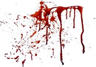 قتل در یکی از محلات قدیمی یزد/ قاتل دستگیر شد - تسنیم