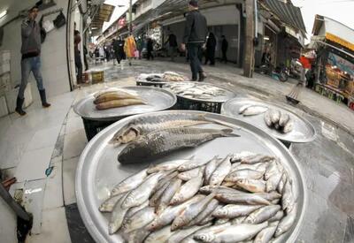 قیمت انواع ماهی ۲۰ اردیبهشت ۱۴۰۳+ جدول