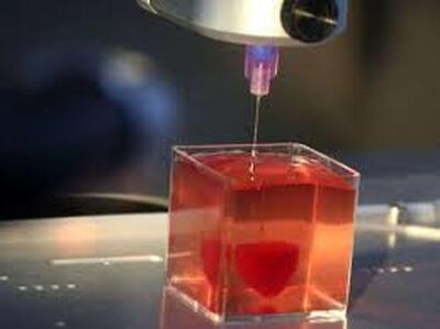 اولین قلب سه‌بعدی با استفاده از بافت بیولوژیکی