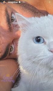 عکس/ چهره دیدنی محمدرضا گلزار در کنار گربه اش | اقتصاد24