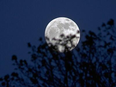 ماه کوچک می‌شود؛ چه عواقبی برای زمین خواهد داشت؟