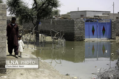 عدم لایروبی رودخانه ها و هدایت رواناب ها علت اصلی آبگرفتگی در جنوب استان