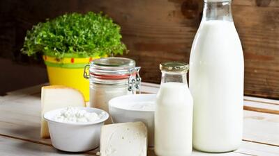 کدام شیر بیشترین پروتئین را دارد؟