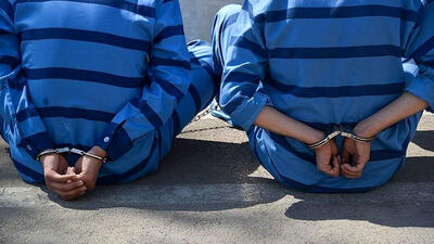 بازداشت دزدان حرفه ای در اهر