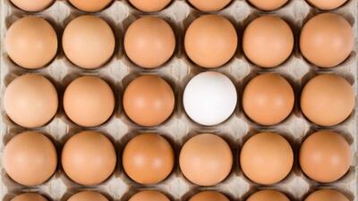 چرا تخم مرغ قهوه ای از تخم مرغ سفید گران تر است؟