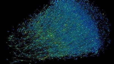 دستاورد بی‌سابقه گوگل و هاروارد: تهیه نقشه‌ سه‌بعدی از یک میلی‌مترمکعب مغز انسان با جزییات دقیق