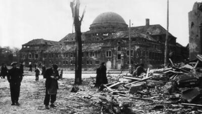 پیام‌آوران صلح؛ درختانی که از بمب اتمی در هیروشیما جان سالم به در بردند