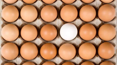 (عکس) تخم مرغ قهوه‌ای چه فرقی با تخم مرغ سفید دارد؟ همه چیز زیر سر مرغ‌هاست!