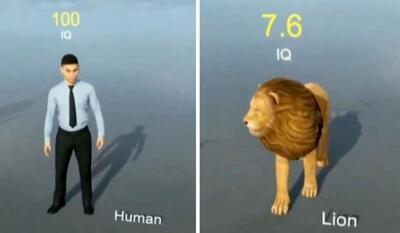 (ویدئو) مقایسه بهره هوشی انسان با سایر حیوانات