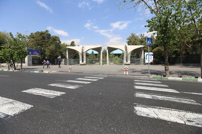 عکس | پرچم آمریکا روی بدن خر و الاغ مقابل دانشگاه تهران با یک شعار جنجالی!