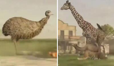 مقایسه سرعت حیوانات مختلف در خشکی + ویدیو