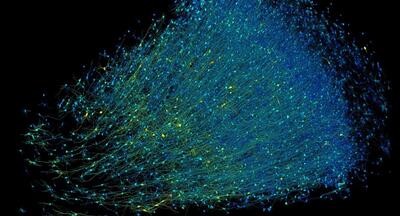دستاورد دانشمندان هاروارد و گوگل: تهیه نقشه 1400 ترابایتی از یک میلیمتر مکعب از مغز انسان