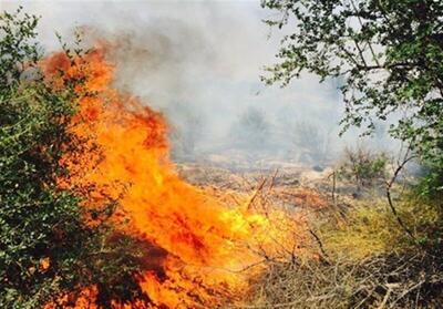 آتش سوزی ۵ هکتار از باغ‌های مرکبات و نخیلات منوجان را از بین برد