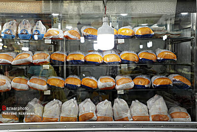 روزانه ۱۱۰۰ تن مرغ در تهران توزیع می شود