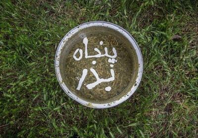 جشن بزرگ آیین سنتی 50 بدر در قزوین برگزار شد- فیلم فیلم استان تسنیم | Tasnim
