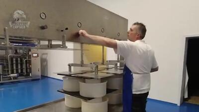 (ویدئو) چگونه پنیرهای مشهور در کارخانه تولید می شود؟