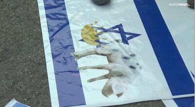 (ویدئو) تظاهرات گسترده در پاکستان؛ از خوک روی پرچم اسرائیل تا آتش زدن پرجم سوئد