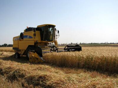 ۷۱۷ دستگاه کمباین برداشت غلات از مزارع کشاورزی استان قزوین را برعهده دارند
