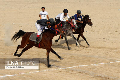 دومین دوره کورس اسب دوانی جنوب کشور در سیریک برگزار شد