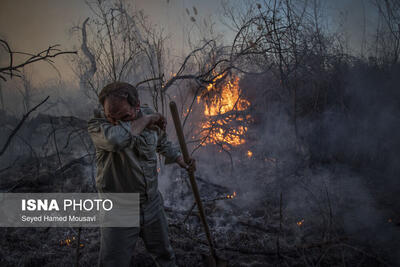 مهار آتش در جنگل‌های مناطق حفاظت‌شده پارک ملی «کرخه»