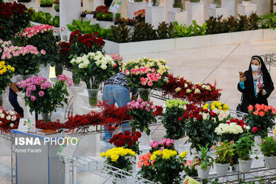 نمایشگاه گل محلات ۲۵ تا ۲۸ خردادماه برگزار می‌شود