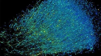 اولین نقشه‌ شگفت انگیز سه‌ بعدی از یک میلی‌متر مکعب مغز انسان +دستاورد بی‌سابقه گوگل و هاروارد