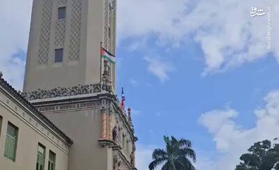 فیلم/ اهتزاز پرچم فلسطین در دانشگاه پورتوریکو