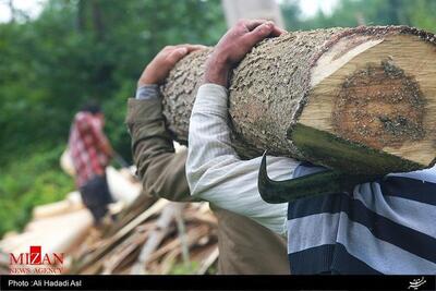 یک کارگاه چوب‌بری متخلف در شهرستان آمل پلمب شد