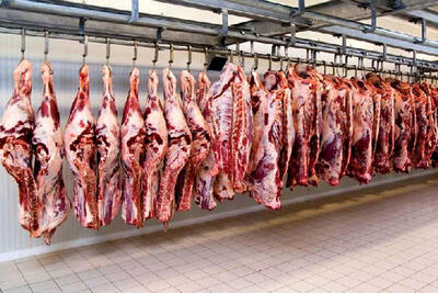 گوشت ۲۱۰ هزار تومانی در کجا توزیع می‌شود؟ | قیمت گوشت قرمز بازهم رو به افزایش است؟