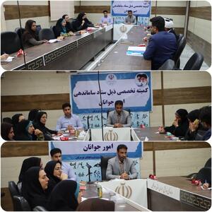 برگزاری اولین جلسه کمیته تخصصی ذیل ستاد ساماندهی امور جوانان استان هرمزگان 