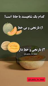 ویدیوئی برای آشنایی با تفاوت طالبی، ملون، گرمک و شاهپسند