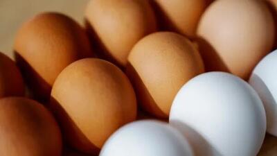 قیمت تخم مرغ در بازار امروز ۲۳ اردیبهشت ۱۴۰۳
