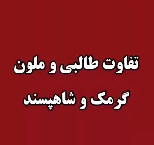 تفاوت طالبی و ملون، گرمک و شاهپسند + فیلم