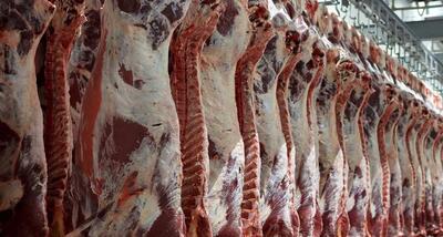 قیمت گوشت قرمز امروز یکشنبه ۲۳ اردیبهشت ۱۴۰۳