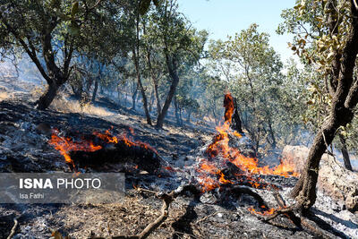 هشدار نسبت به وقوع آتش‌سوزی در جنگل‌ها و مراتع در کهگیلویه و بویراحمد