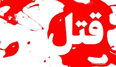 شهردار منطقه ۵ شیراز به قتل رسید + جزییات