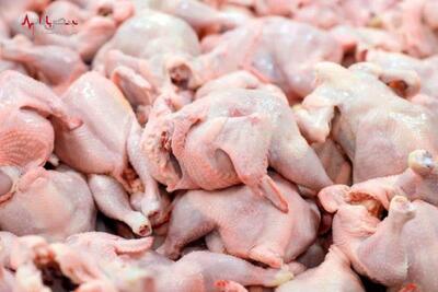 اعلام قیمت گوشت مرغ امروز ۲۳ اردیبهشت ۱۴۰۳