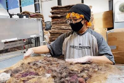 استفاده از موهای انسان برای پاکسازی آلودگی نفتی (+عکس)