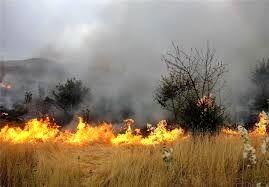 رعد و برق باعث آتش سوزی در مزارع باغملک شد
