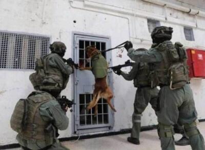 شکنجه؛ حربه رژیم صهیونیستی علیه اسرای فلسطینی