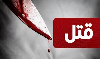قتل هولناک زن تنها با 34 ضربه چاقو در شرق تهران
