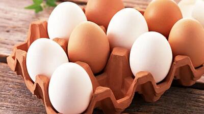 موقع خرید تخم‌مرغ‌ این 4 نکته را ندیده نگیرید