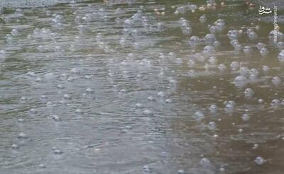 فیلم/ بارش باران در شهر نیاسر کاشان