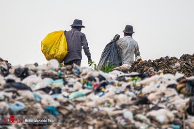 کاهش ۷۰درصدی زباله‌گردی در تهران/ تمهیدات لازم تا اتمام کار زباله‌گردان در پایتخت ادامه دارد